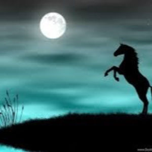 Meet your Posher, Haleigh